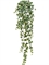 Английский плющ Олд Тэмпл припылённо-зелёный (искусственный) Treez Collection - фото 64799