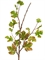 Виноградная ветвь интерьерная (искусственная) Treez Collection - фото 64806