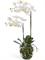 Орхидея Фаленопсис белая с мхом, корнями, землёй (искусственная) Treez Collection - фото 64827