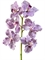 Орхидея Ванда бело-фиолетовая (искусственная) Treez Collection - фото 64831