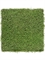 Мох рясковый светло-зеленый (полотно) квадрат (искусственный) Treez Collection - фото 64845