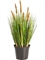Осока куст с султанами и без султанов (искусственная) Treez Collection 2842 - фото 64851
