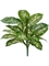Диффенбахия бело-зелёная куст (искусственная) Treez Collection - фото 64881
