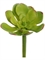 Мини-суккулент Эониум Декорум зеленый (искусственный) Treez Collection - фото 64949