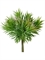 Суккулент Крассула игольчатая куст св.зелёный с бордо (искусственный) Treez Collection - фото 64954