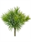 Суккулент Красула игольчатая куст светло-зелный (искусственный) Treez Collection - фото 64955