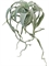 Тилландсия Ксерографика светло-серо-зеленая с розовинкой припыленная (искусственная) Treez Collection - фото 64973