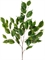Ветка фикуса Бенджамина 75 см (искусственная) Treez Collection - фото 64988