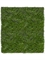 Мох Микс Рясковый-Сфагнум (полотно) большое (искусственный) Treez Collection - фото 65002
