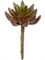 Суккулент Синокрассула бордово-зеленая (искусственная) Treez Collection - фото 65012