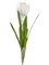 Крокус белый (искусственный) Treez Collection - фото 65088