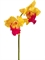 Орхидея Каттлея (искусственная) крупная жёлто-розовая (серия MDP) Treez Collection - фото 65103
