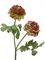 Ранункулус махровый св.зёленый с бордо (искусственный) Treez Collection - фото 65118