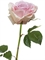 Роза Верди нежно-сиренево-розовая с кремовым (искусственная) Treez Collection - фото 65130