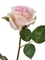 Роза Джулии нежно-розовая с кремовым (искусственная) Treez Collection - фото 65138