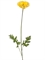 Мак Ширли светло-жёлтый (искусственный) Treez Collection - фото 65147