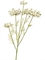 Анна Королевская Кружевная большая белая (искусственная) Treez Collection - фото 65151