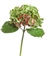 Гортензия (искусственная) св.зелёная с бордо крупноцветковая (серия MDP) Treez Collection - фото 65153