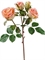 Роза Флорибунда ветвь розово-персиковая 3цв (искусственная) Treez Collection - фото 65179