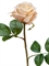 Роза Флорибунда Мидл крем-роз (искусственная) Treez Collection - фото 65186