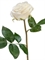 Роза Флорибунда Мидл белая (искусственная) Treez Collection - фото 65190