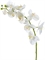 Орхидея Фаленопсис Мидл белая (искусственная) Treez Collection - фото 65196