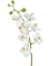 Орхидея Фаленопсис Элегант белая (искусственная) Treez Collection - фото 65200