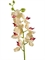Орхидея Фаленопсис Элегант бледно-золотист. с бордо (искусственная) Treez Collection - фото 65201