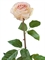 Роза Соло Нью большая нежн.крем-роз (искусственная) Treez Collection - фото 65203