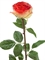 Роза Соло Нью большая нежно-золотистая с алым (искусственная) Treez Collection - фото 65205