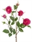 Роза Вайлд ветвь тёмно-малиновая (искусственная) Treez Collection - фото 65209