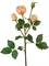 Роза Пале-Рояль ветвь персиково-золотистая (искусственная) Treez Collection - фото 65214