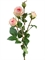 Роза Пале-Рояль ветвь нежно-розовая (искусственная) Treez Collection - фото 65215