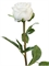 Роза Эсперанса белая (искусственная) Treez Collection - фото 65221