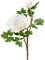 Пион белый ветвь малая (искусственный) Treez Collection - фото 65228
