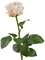 Роза Английская Большая нежно-персиково-розовая (искусственная) Treez Collection - фото 65243