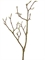 Ветка Магнолии большая коричнево-зёленая с завязями (искусственная) Treez Collection - фото 65246