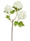Калина Бульдонеж (Вибурнум) белая ветка (искусственная) Treez Collection - фото 65282