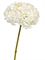 Гортензия белая с ванильным (искусственная) Treez Collection - фото 65285