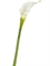 Калла Мидл белая с лаймом (искусственная) Treez Collection - фото 65287