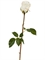 Роза Аква белая с нежно-розовой каймой (искусственная) Treez Collection - фото 65290