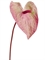 Антуриум Макс нежно-розовый с кремово-зелёным (искусственный) Treez Collection - фото 65308