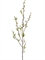 Ветвь Серебрянной Вербы с почками (искусственная) Treez Collection - фото 65328