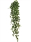 Английский плющ Биг Олд Тэмпл крупнолистный  зеленый Гигант (Real Touch) искусственный Treez Collection - фото 65406