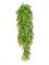 Рута Гравеоленс зеленая куст ампельный (пластик) искусственный Treez Collection - фото 65423