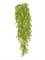 Рута Гравеоленс светло-зеленая куст ампельный (пластик) искусственный Treez Collection - фото 65424