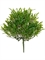 Трава Розмари Фэт большой куст зеленый (пластик) искусственный Treez Collection - фото 65427