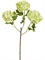 Калина Бульдонеж (Вибурнум) св.зеленая ветка 3 соцветия (искусственная) Treez Collection - фото 65440