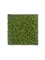 Мох Сфагнум Fuscum зелёный (полотно на подложке) искусственный Treez Collection - фото 65456