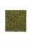 Мох Сфагнум Fuscum оливково-зелёный (полотно на подложке) искусственный Treez Collection - фото 65458